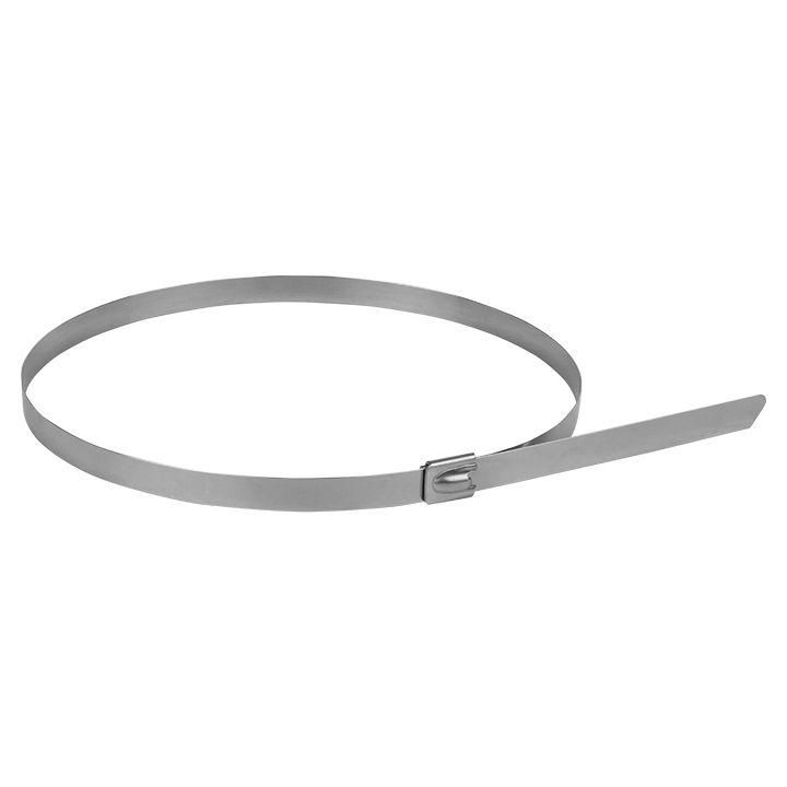 хомут aisi 304 7.9х520 нерж. сталь flexlock (уп.10шт) proxima ekf plc-fl-tss-304-7.9x520-r от магазина Штепсель и батарейка.