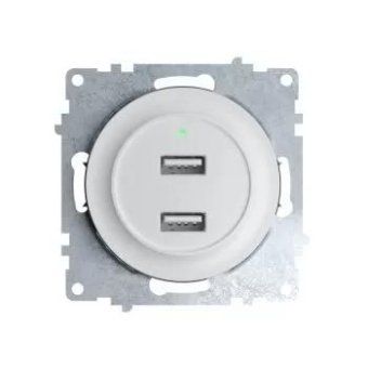 розетка usb 2-м сп florence 16а ip20 с подсветкой механизм бел. (1e10351300) onekeyelectro 2260089 от магазина Штепсель и батарейка.