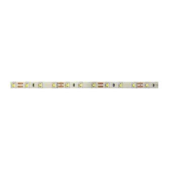 лента светодиодная pls pro 2835/120-24в 4000к ip20 (уп.5м) pro jazzway 5015692 от магазина Штепсель и батарейка. - фото_2