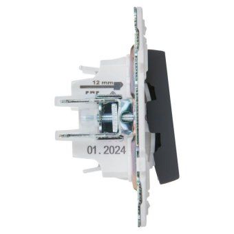 выключатель 2-кл. skandy 10а sk-v04g графит iek sk-v20-0-10-k53 от магазина Штепсель и батарейка. - фото_4