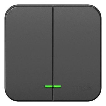 выключатель 2-кл. оп blanca 10а ip20 (сх. 5) 250в с подсветкой с изолир. пластиной антрацит se blnva105116 от магазина Штепсель и батарейка.