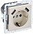 розетка brite рюш10-2-бркр 16а с usb a+a 3.1а с заземл. защ. шторки механизм беж. iek br-r14-16-u21-d31-k10 от магазина Штепсель и батарейка.