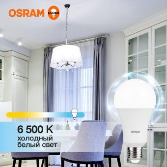 лампа светодиодная led value lvcla150 20sw/865 20вт грушевидная матовая e27 230в 10х1 ru osram 4058075579378 от магазина Штепсель и батарейка. - фото_2