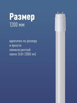 лампа светодиодная 20вт t8 линейная 4000к нейтр. бел. g13 220в 1200мм glass космос lksm_led20wg13t840gl от магазина Штепсель и батарейка. - фото_2