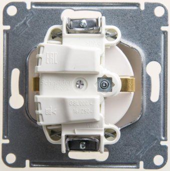 розетка 1-м сп glossa 16а ip20 с заземл. защ. шторки механизм перламутр. se gsl000645 от магазина Штепсель и батарейка. - фото_2