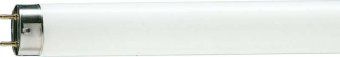 лампа люминесцентная tl-d 36w/54-765 36вт t8 6200к g13 philips 928048505451 от магазина Штепсель и батарейка.
