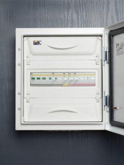 ограничитель перенапряжения опс1-c 2p iek mop20-2-c от магазина Штепсель и батарейка. - фото_3