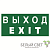 знак безопасности npu-1510.e24 "выход-exit" белый свет a10881 от магазина Штепсель и батарейка.