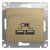 розетка usb 2-м сп glossa тип a+a 5в/2100ма 2х5в/1050ма механизм титан se gsl000433 от магазина Штепсель и батарейка. - фото_2