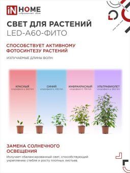 лампа светодиодная led-a60-fito 15вт a60 грушевидная e27 230в для растений in home 4690612036502 от магазина Штепсель и батарейка. - фото_4