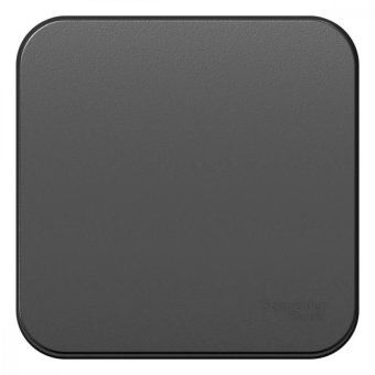 переключатель проходной 1-кл. оп blanca 10а ip20 (сх. 6) 250в с изолир. пластиной антрацит se blnva106016 от магазина Штепсель и батарейка.
