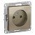 розетка 1-м сп atlasdesign 16а ip20 без заземл. защ. шторки механизм шампань se atn000549 от магазина Штепсель и батарейка.