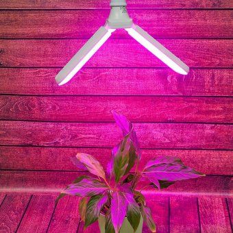 лампа светодиодная led-p65-16w/spsb/e27/fr/p2 plp32wh 16вт p65 лепестковая матовая e27 для растений спектр для рассады и цветения (упак. картон) uniel ul-00007406 от магазина Штепсель и батарейка. - фото_2