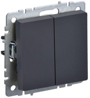 выключатель 2-кл. сп brite вс10-2-0-брг 10а механизм графит iek br-v20-0-10-k53 от магазина Штепсель и батарейка.