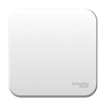 выключатель 1-кл. оп blanca 6а ip20 (сх. 1) 250в бел. se blnva061001 от магазина Штепсель и батарейка.
