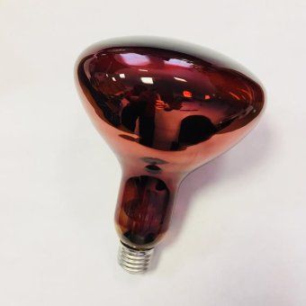 лампа-термоизлучатель икзк 230-150вт r127 e27 (15) кэлз 8105006 от магазина Штепсель и батарейка.