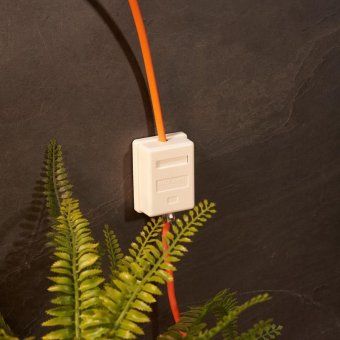 розетка компьютерная 1-м оп rj45 кат.5e utp неэкранир. бел. rexant 03-0121 от магазина Штепсель и батарейка. - фото_8