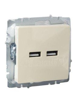розетка brite usb a+a 3.1а рю10-1-бркр механизм беж. iek br-u21-d31-k10 от магазина Штепсель и батарейка. - фото_6