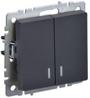 выключатель 2-кл. сп brite вс10-2-1-брг 10а с индик. механизм графит iek br-v20-1-10-k53 от магазина Штепсель и батарейка.