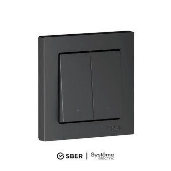 выключатель 2-кл. atlasdesign smart 10а (сх. 5) l+n с подсветкой zigbee механизм карбон se atn001053z от магазина Штепсель и батарейка.