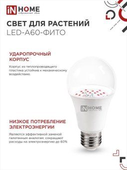 лампа светодиодная led-a60-fito 15вт a60 грушевидная e27 230в для растений in home 4690612036502 от магазина Штепсель и батарейка. - фото_5