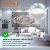 лампа светодиодная led value lv r80 90 11sw/865 11вт рефлектор матовая e27 230в 10х1 ru osram 4058075582750 от магазина Штепсель и батарейка. - фото_5