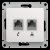 розетка компьютерная + телефонная 2-м сп glossa rj45 + rj11 кат.5e механизм бел. se gsl000185 от магазина Штепсель и батарейка. - фото_2