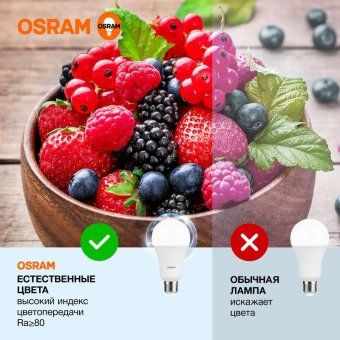лампа светодиодная led value lvcla150 20sw/865 20вт грушевидная матовая e27 230в 10х1 ru osram 4058075579378 от магазина Штепсель и батарейка. - фото_4