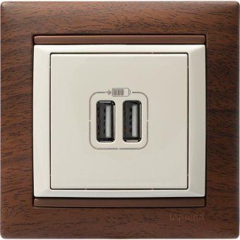 розетка usb 2-м сп valena сл. кость leg 774170 от магазина Штепсель и батарейка. - фото_3