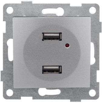 розетка usb 2-м сп bravo механизм серебр. gusi с10usb2-004 от магазина Штепсель и батарейка.