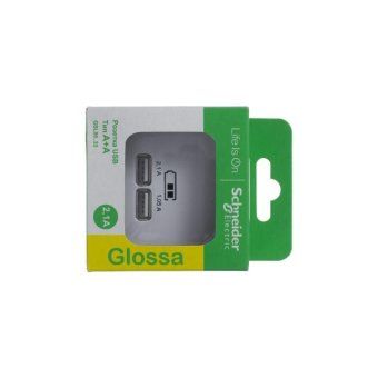 розетка usb 2-м сп glossa тип a+a 5в/2.1а 2х5в/1.05а механизм бел. se gsl000133 от магазина Штепсель и батарейка. - фото_3