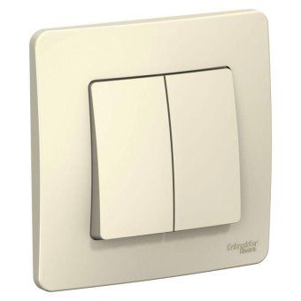 выключатель 2-кл. сп blanca 10а ip20 (сх. 5) 250в молочн. se blnvs010502 от магазина Штепсель и батарейка.