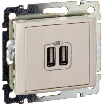 розетка usb 2-м сп valena сл. кость leg 774170 от магазина Штепсель и батарейка. - фото_14