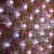 гирлянда светодиодная "сеть" 2х4м 560led бел. 50вт 220-240в ip67 провод каучук черн. neon-night 217-135 от магазина Штепсель и батарейка. - фото_2