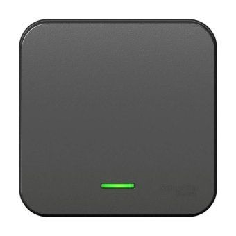 выключатель 1-кл. оп blanca 10а ip20 (сх. 1) 250в с подсветкой с изолир. пластиной антрацит se blnva101116 от магазина Штепсель и батарейка.