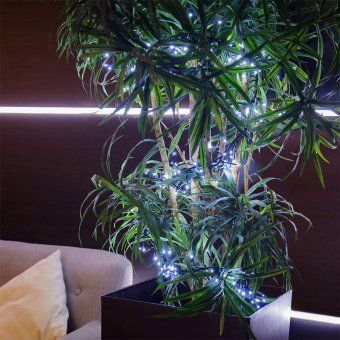 гирлянда светодиодная "кластер led" 3м 288led бел. 14вт 220-240в ip20 провод пвх темн. зел. neon-night 303-625 от магазина Штепсель и батарейка. - фото_6