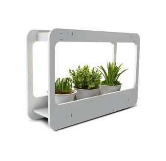 подставка-светильник pmg 002 led 14вт 4000к для растений jazzway 5009554 от магазина Штепсель и батарейка.