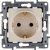 розетка 1-м сп etika 16а ip31 250в 2p+e с заземл. защ. шторки немецк. стандарт винтов. клеммы механизм сл. кость leg 672322 от магазина Штепсель и батарейка. - фото_8