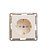 розетка 1-м сп w59 16а ip20 с заземл. защ. шторки механизм сл. кость se rs16-152-2-86 от магазина Штепсель и батарейка.