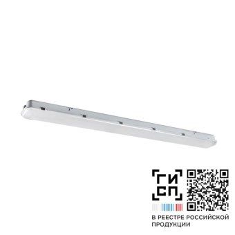 светильник светодиодный "арклайн эконом" led-36 (3750/740/cl/w/tw/el1/0/gen1) galad 13087 от магазина Штепсель и батарейка.