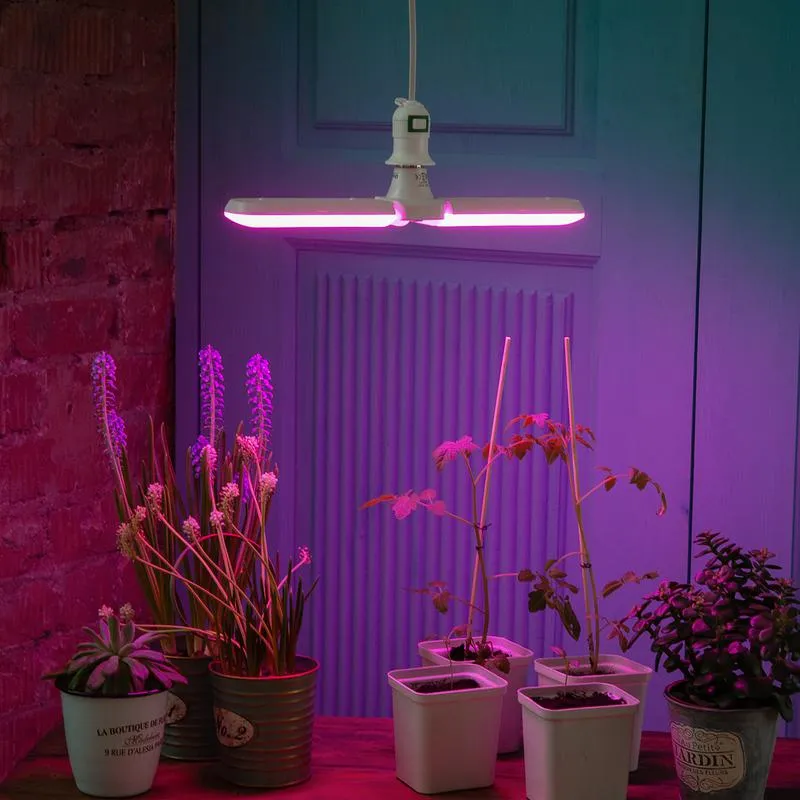 лампа светодиодная led-p65-16w/spsb/e27/fr/p2 plp32wh 16вт p65 лепестковая матовая e27 для растений спектр для рассады и цветения (упак. картон) uniel ul-00007406 от магазина Штепсель и батарейка.