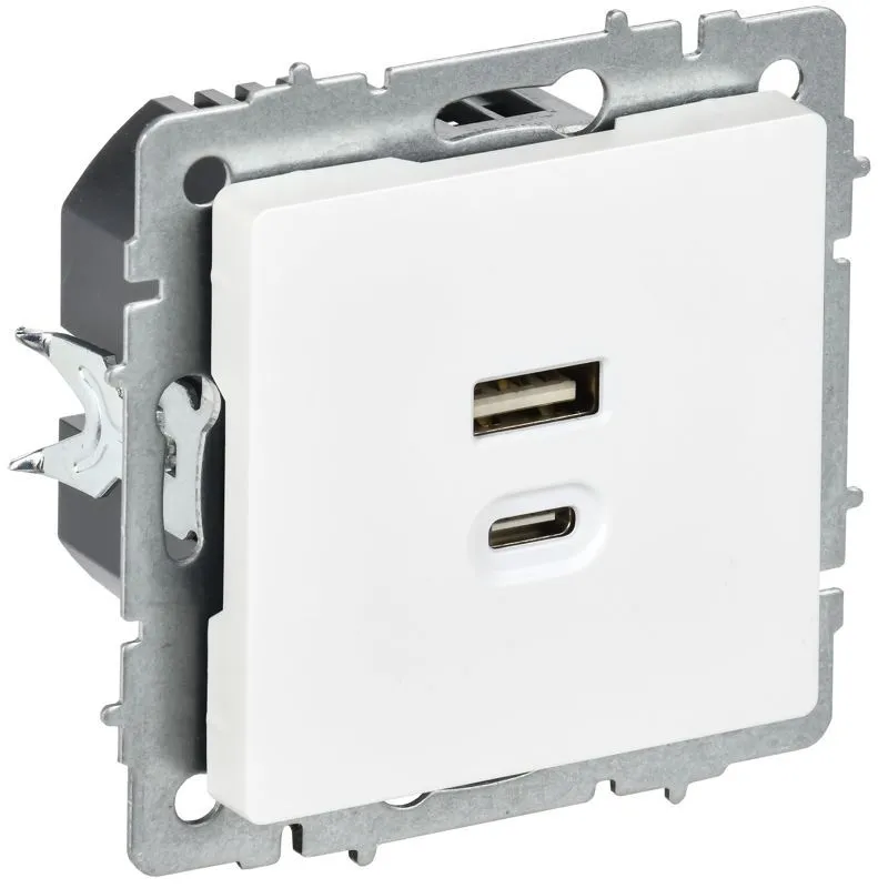 розетка сп brite рю11-2-браб usb a+c 45вт высокоскор. заряд. арктич. бел. iek br-u22-045-k91 от магазина Штепсель и батарейка.