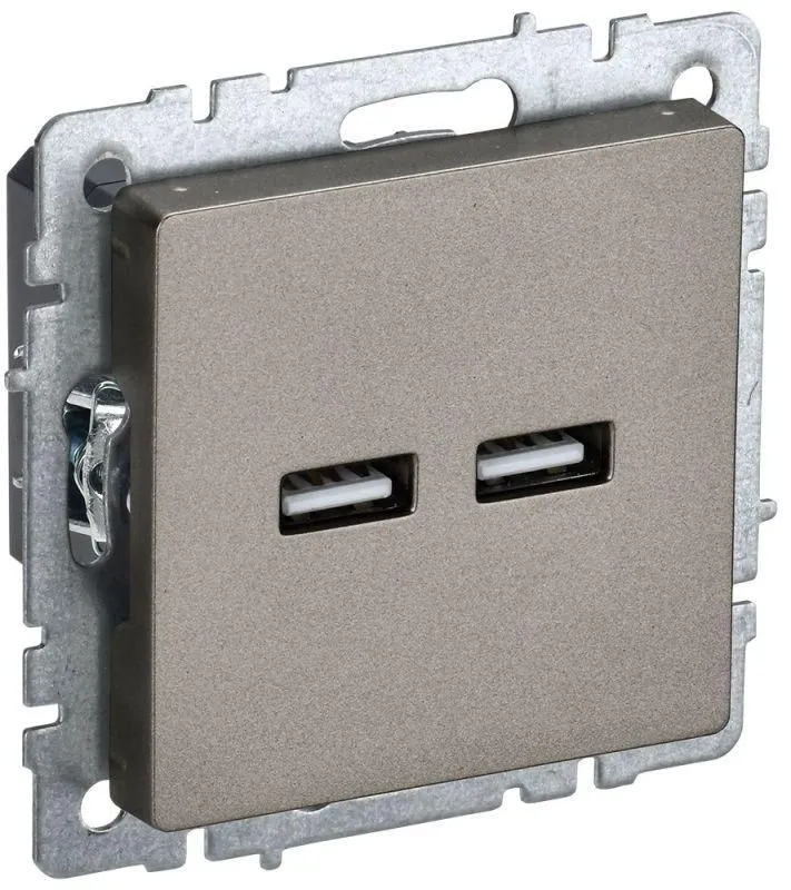 розетка brite usb a+a 3.1а рю10-1-брш механизм шампань iek br-u21-d31-k37 от магазина Штепсель и батарейка.