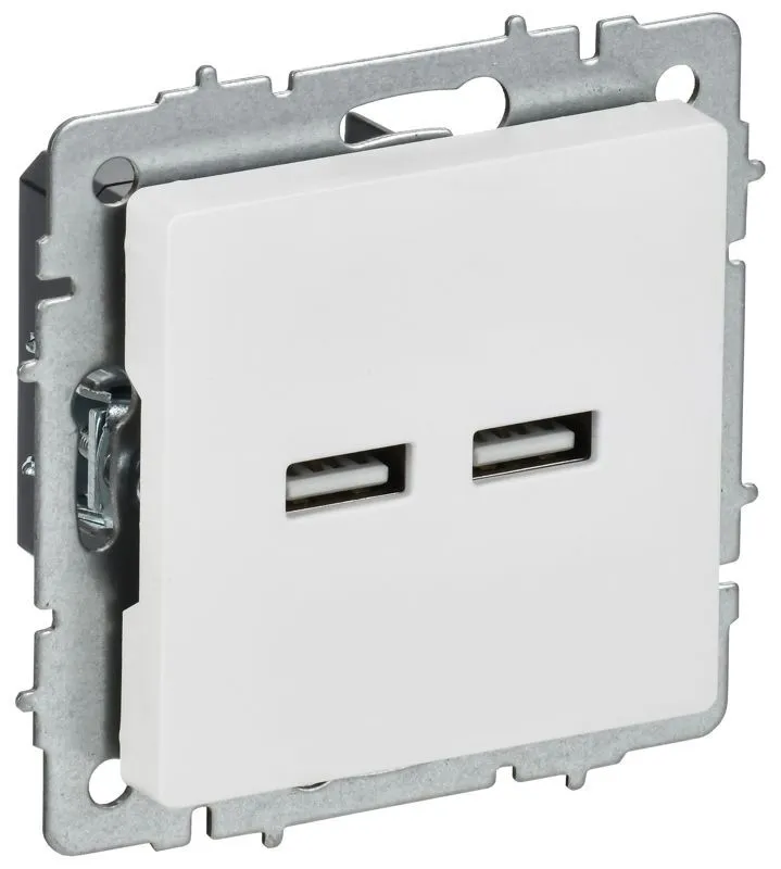 розетка brite рю10-1-браб usb a+a 3.1а механизм арктич. бел. iek br-u21-d31-k91 от магазина Штепсель и батарейка.